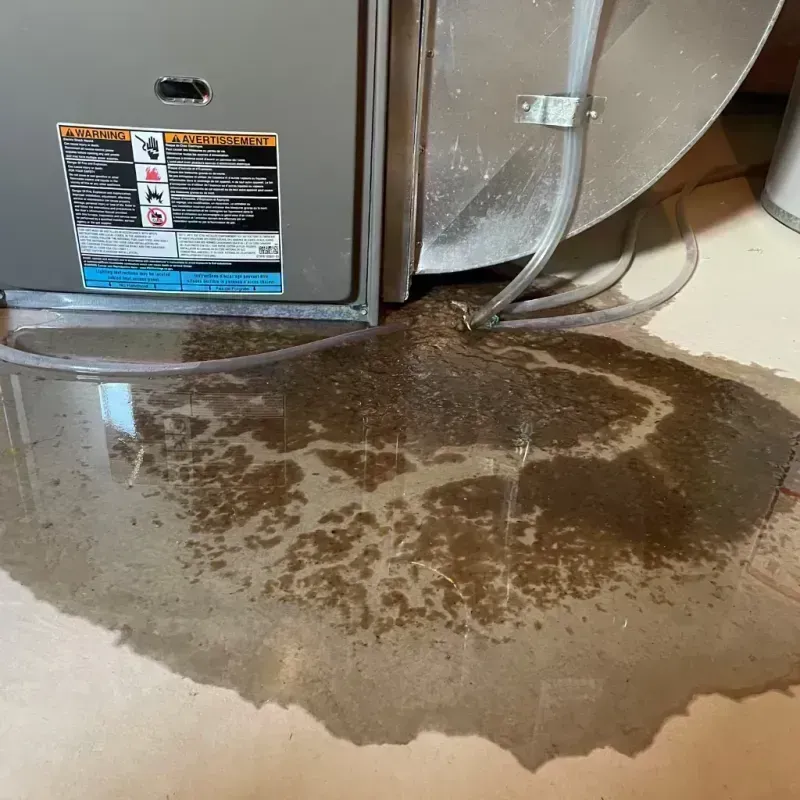 Appliance Leak Cleanup in Metcalfe County, KY